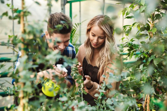 Image,Of,Two,Amazing,Gardeners,Posing,In,The,Nature,Greenhouse
